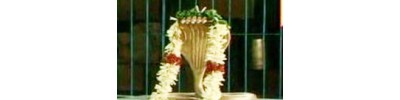 092. திருநாகேஸ்வரம்